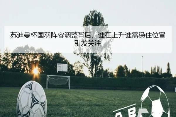苏迪曼杯国羽阵容调整背后，谁在上升谁需稳住位置引发关注